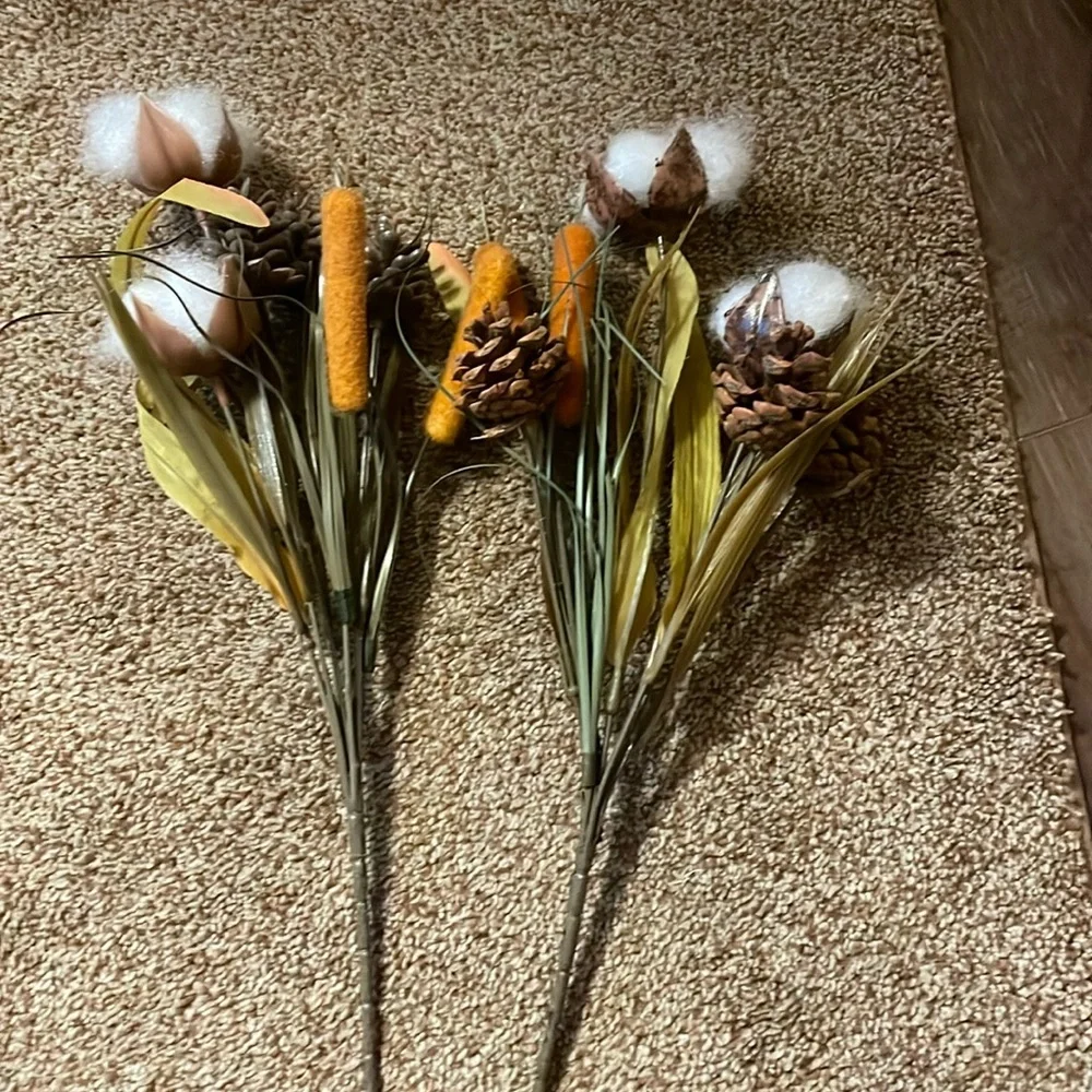 3 Fall Cotton Picks